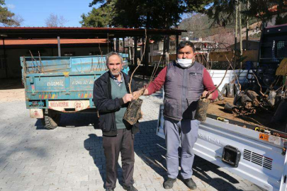 BÜYÜKŞEHİR’DEN KORKUTELİ’NE FİDAN DESTEĞİ