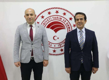 ÇİLEK KİTAP OLDU