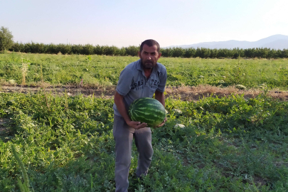 Korkuteli’nde Kooperatif Karpuz Alımına Başladı