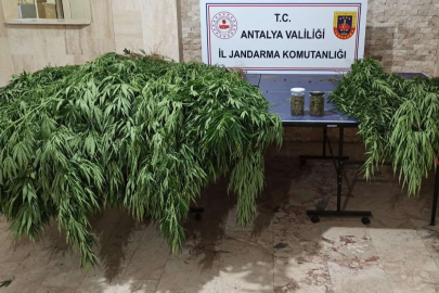Çaykenarı Mahallesi’nde Uyuşturucu Operasyonu