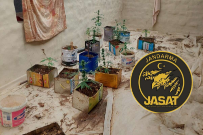 JASAT Dedektifleri Yine Affetmedi