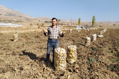 Yaylada patates hasadı sona erdi
