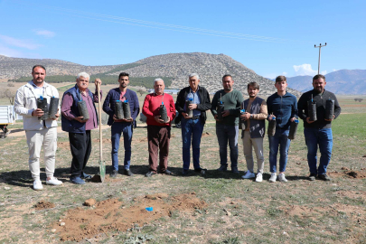 Korkuteli’de antepfıstığı yetiştiriciliği yapılacak