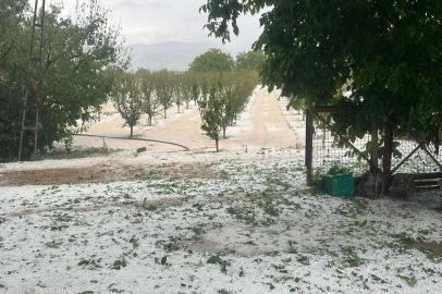Çiftçiyi dolu vurdu ürünler heba oldu