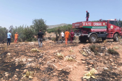 Kemerağzı Mahallesinde Orman Yangını