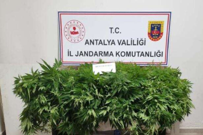 JASAT Dedektiflerinden uyuşturucu tacirlerine bir darbe daha