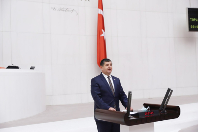 CHP’li Arı Çiftçinin sesi oldu
