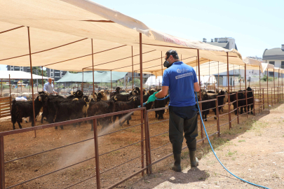 Büyükşehir kurban satış noktalarını ilaçlıyor