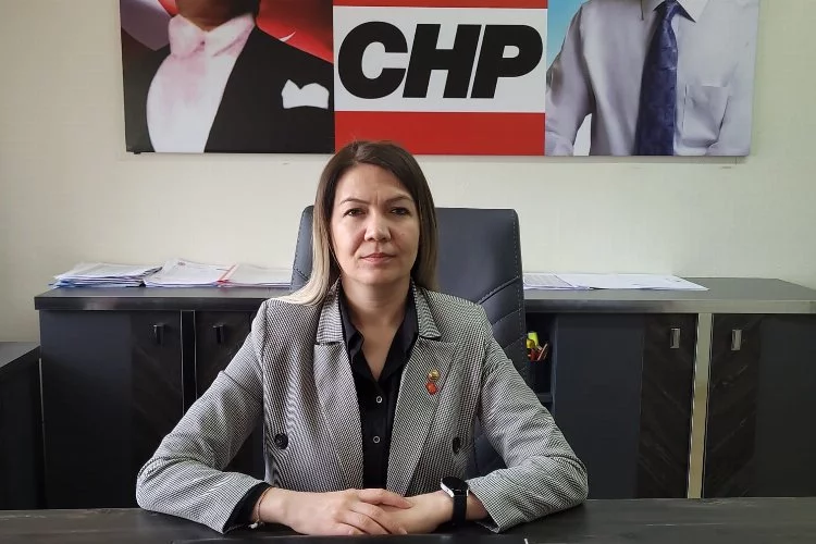 CHP Kadın Kolları’ndan 6284 Yasasına İlişkin Basın Açıklaması !